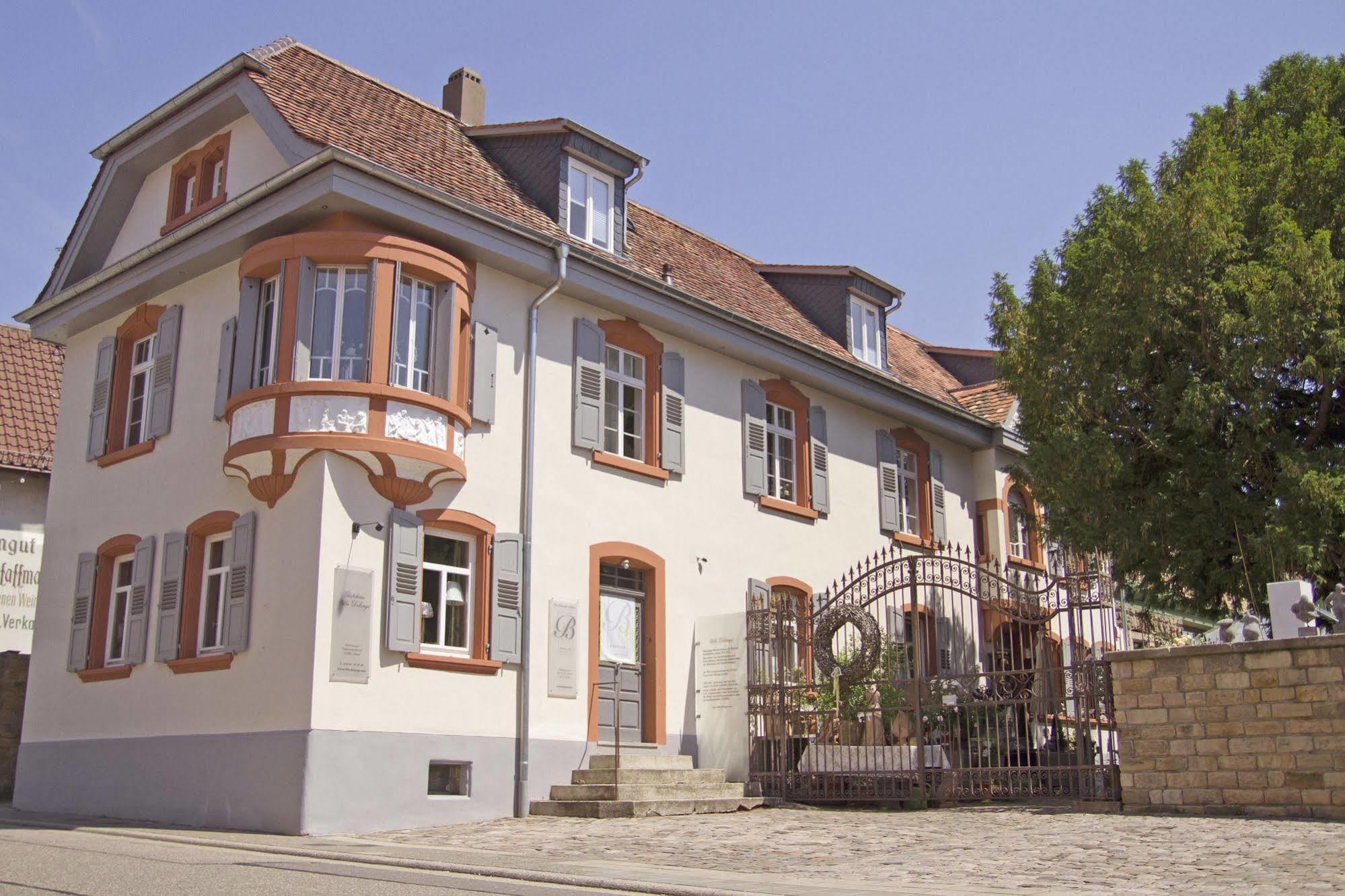 Villa Delange Landau in der Pfalz Exterior photo